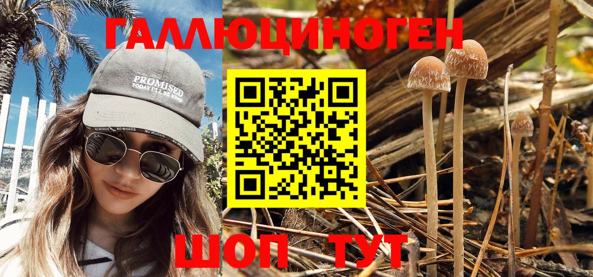 Галлюциногенные грибы MAGIC MUSHROOMS Учалы